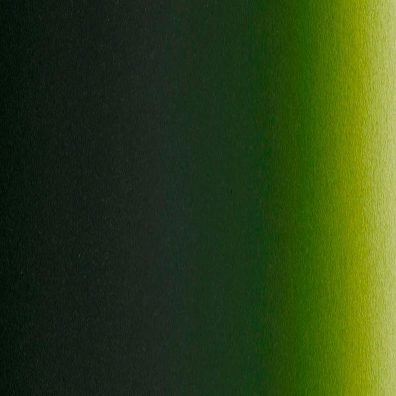 Createx Illustration 5065 Moss Green 60 ml